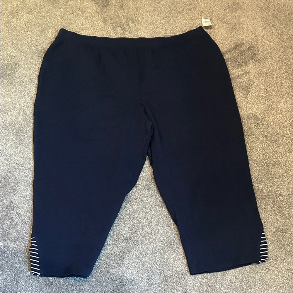 NWT Navy Blue Cropped Pants